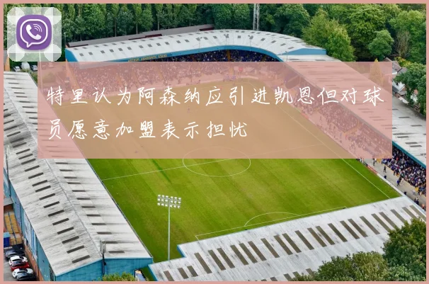 特里认为阿森纳应引进凯恩但对球员愿意加盟表示担忧