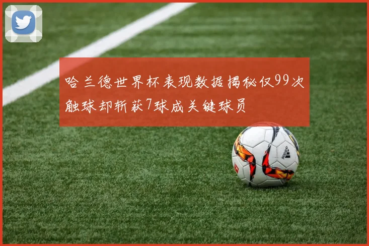 哈兰德世界杯表现数据揭秘仅99次触球却斩获7球成关键球员